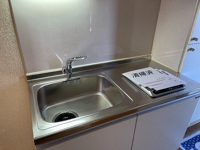 ワンピース 305号室 海老名駅 3階 １ｋ の賃貸物件 賃貸マンション ハウスコム