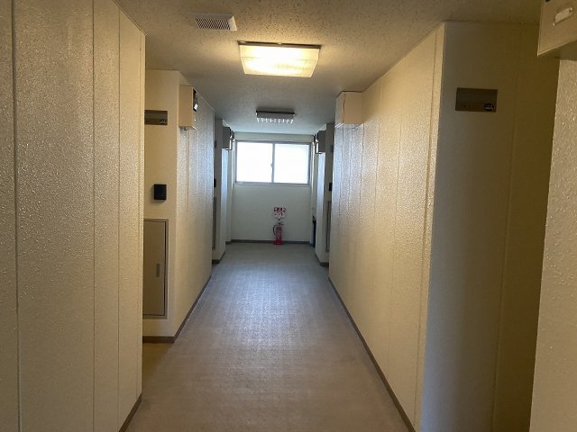 25/29 その他画像