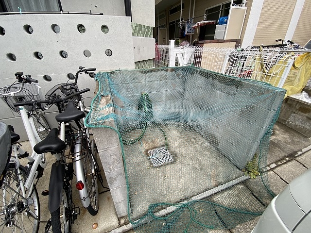 20/30 その他画像