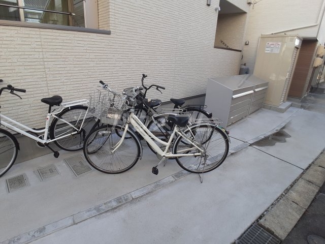 21/24 その他画像