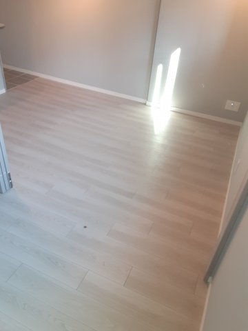 22/26 その他画像