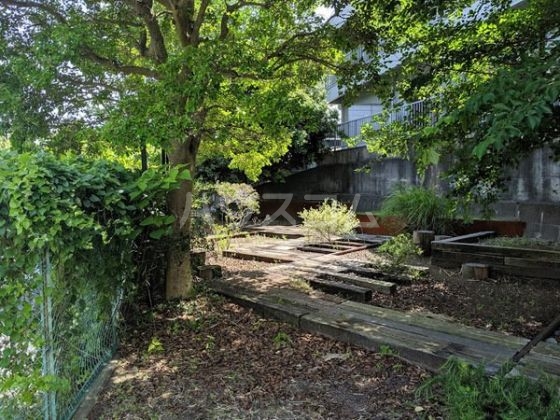 11/26 その他画像