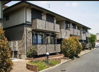 13/24 その他画像