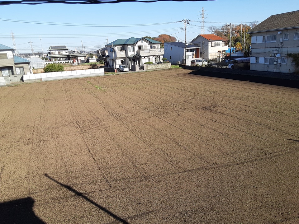 20/30 その他画像