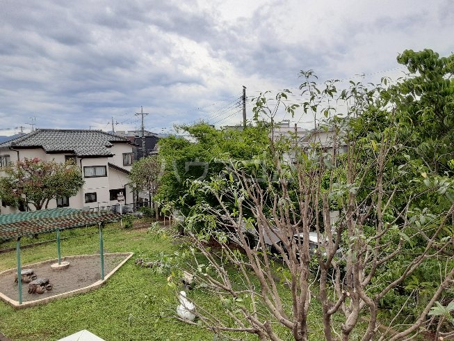 20/30 その他画像