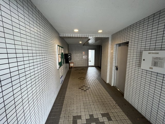 15/29 その他画像