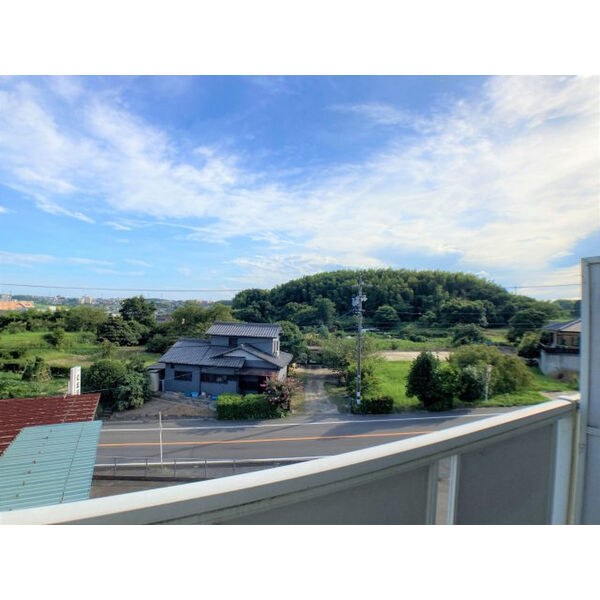 20/30 その他画像