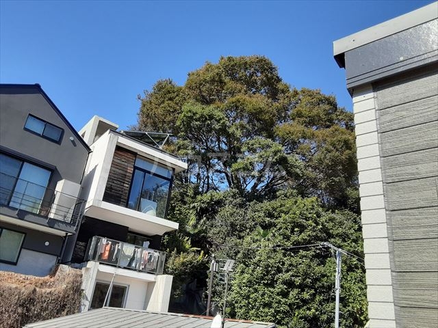 14/19 その他画像