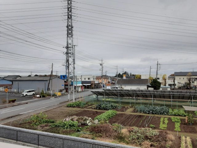 20/30 その他画像