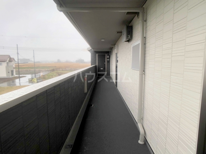 17/29 その他画像