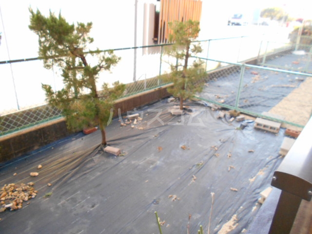 17/24 その他画像