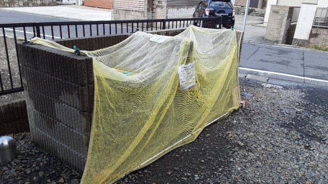 15/25 その他画像