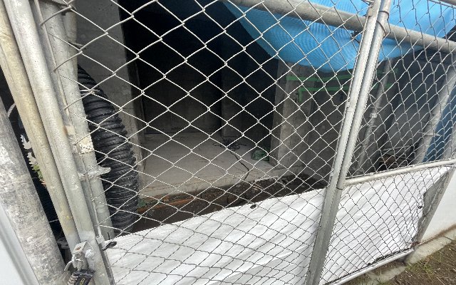 17/27 その他画像