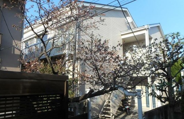 1/21 外観