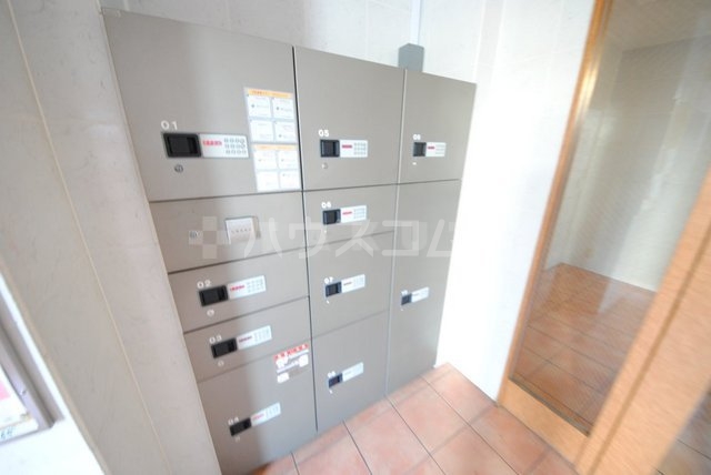 20/30 その他画像