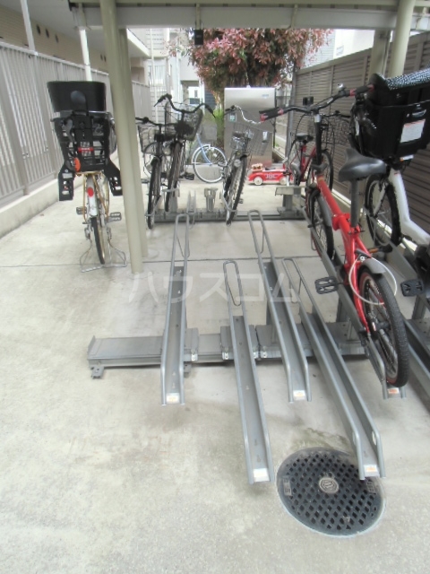 20/30 その他画像