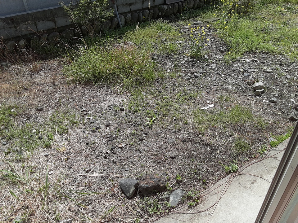 19/24 その他画像