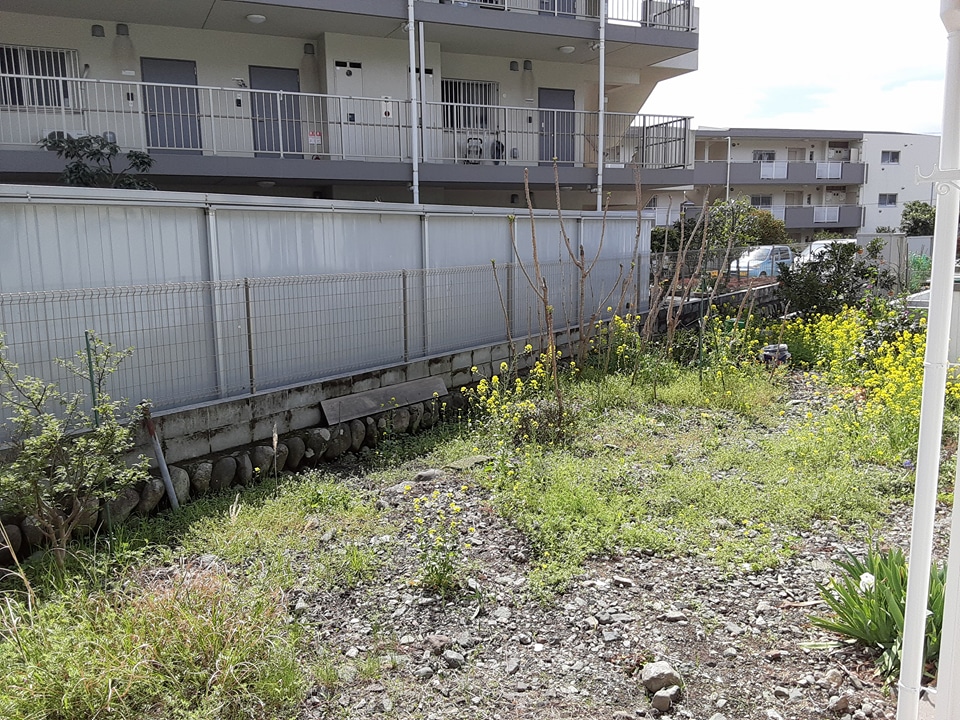 20/24 その他画像