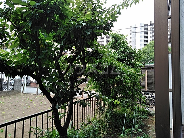 16/29 その他画像