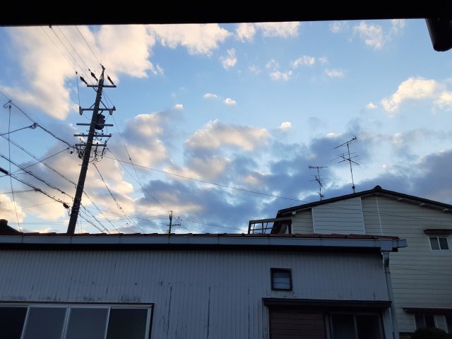 17/29 その他画像