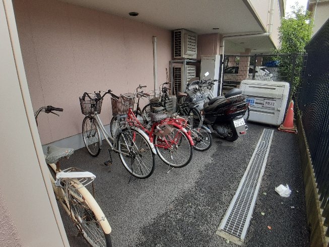 20/30 その他画像