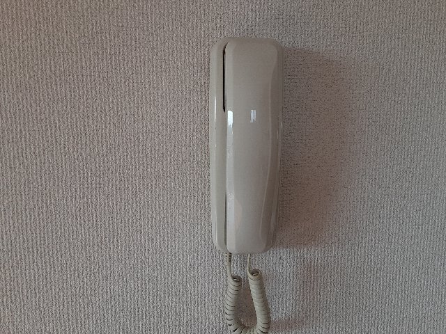 12/25 その他画像