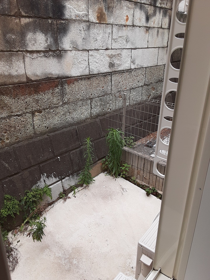 13/23 その他画像