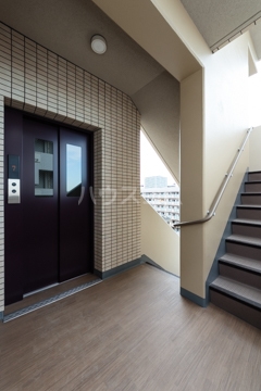 17/29 その他画像