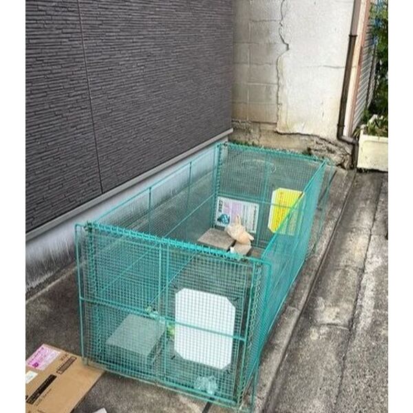 15/22 その他画像