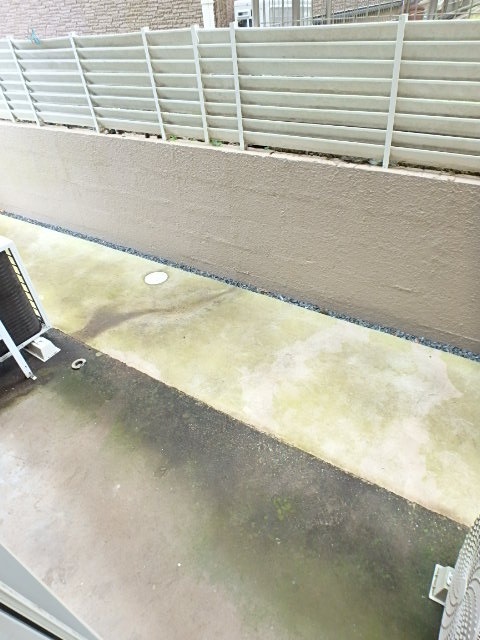 14/19 その他画像