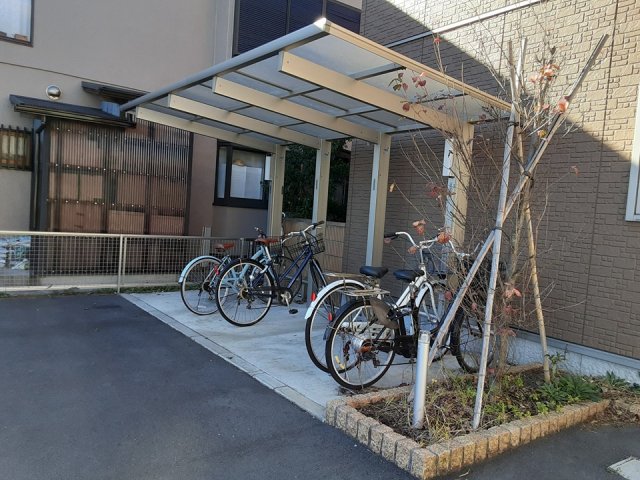 20/30 その他画像