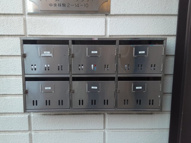 25/30 その他画像