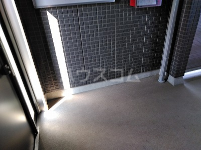 17/29 その他画像