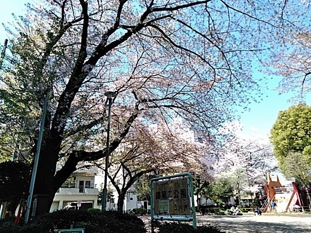 3/30 外観