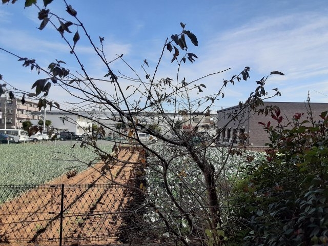 21/28 その他画像