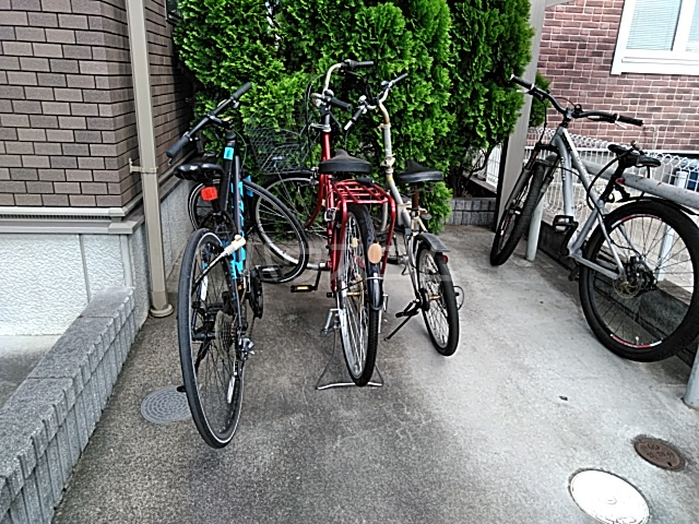 その他画像