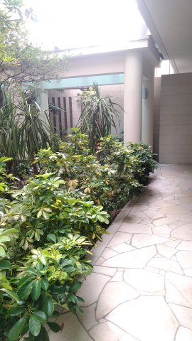 21/25 その他画像