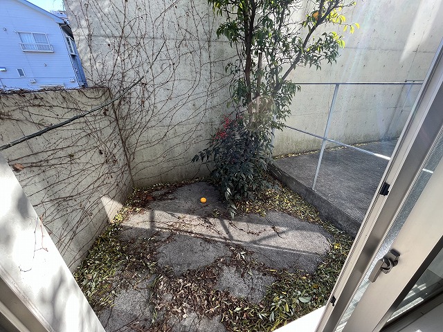 21/24 その他画像