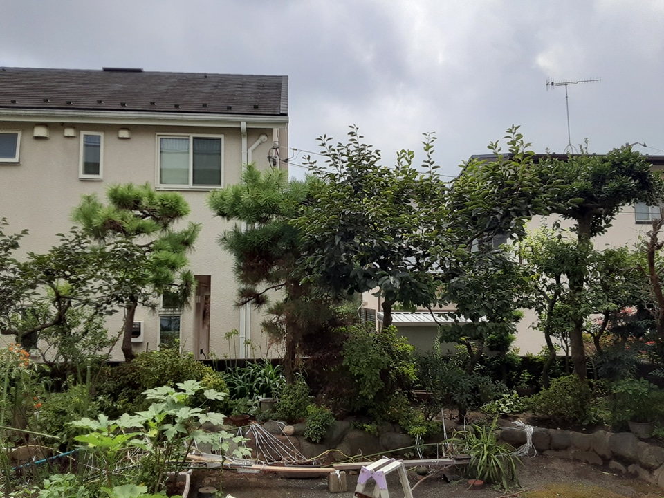 26/30 その他画像