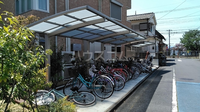 5/17 その他画像