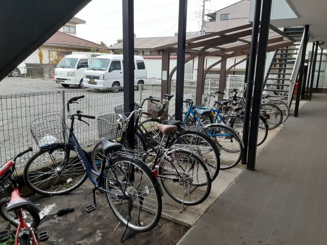 20/30 その他画像