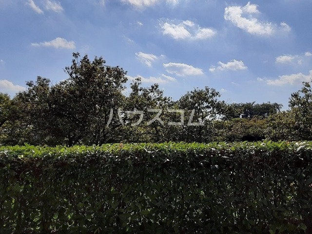 18/21 その他画像