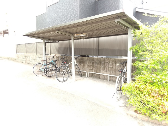 8/17 その他画像