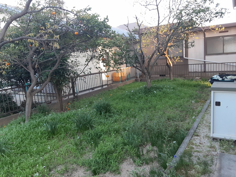 18/27 その他画像