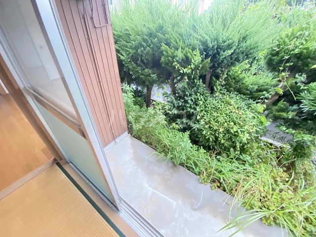 21/24 その他画像