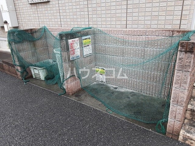 13/19 その他画像