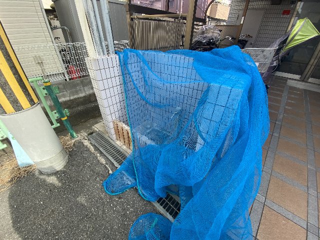 29/30 その他画像