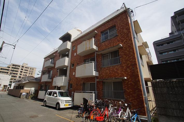 15/25 その他画像