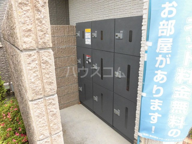 20/30 その他画像