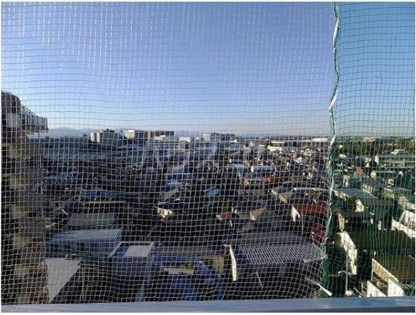 13/26 その他画像